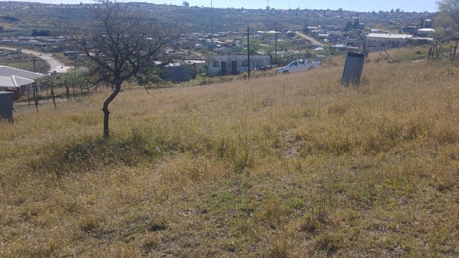 0 Bedroom Property for Sale in Butterworth Eastern Cape